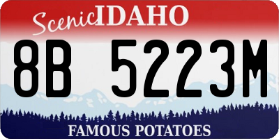 ID license plate 8B5223M