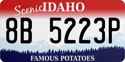 ID license plate 8B5223P