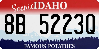 ID license plate 8B5223Q