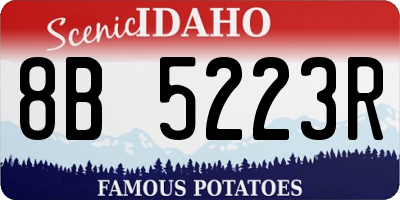 ID license plate 8B5223R