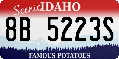 ID license plate 8B5223S