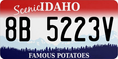 ID license plate 8B5223V