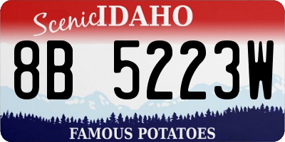 ID license plate 8B5223W