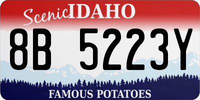 ID license plate 8B5223Y