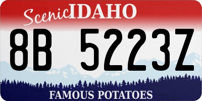 ID license plate 8B5223Z