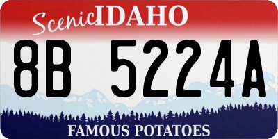 ID license plate 8B5224A
