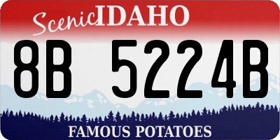 ID license plate 8B5224B