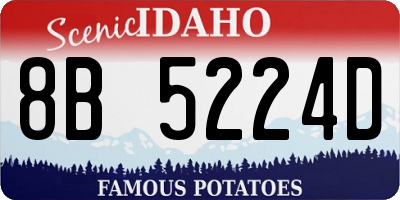 ID license plate 8B5224D