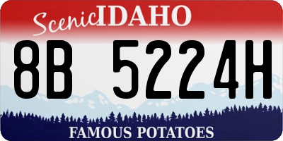 ID license plate 8B5224H