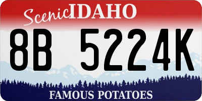 ID license plate 8B5224K