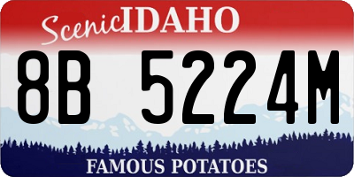 ID license plate 8B5224M