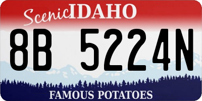 ID license plate 8B5224N