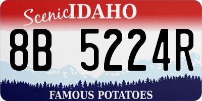 ID license plate 8B5224R