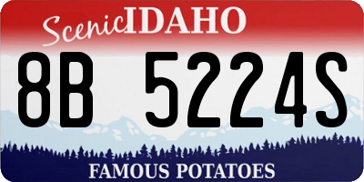 ID license plate 8B5224S