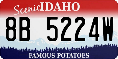 ID license plate 8B5224W