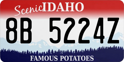 ID license plate 8B5224Z