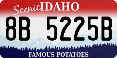 ID license plate 8B5225B
