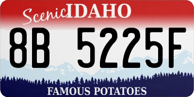 ID license plate 8B5225F