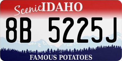 ID license plate 8B5225J