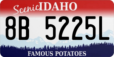 ID license plate 8B5225L