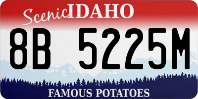 ID license plate 8B5225M