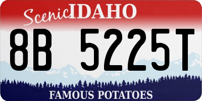 ID license plate 8B5225T