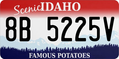 ID license plate 8B5225V