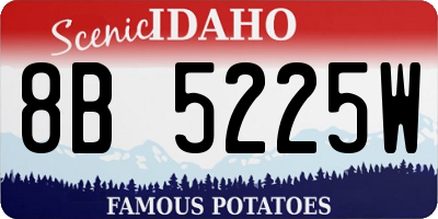 ID license plate 8B5225W