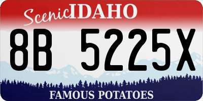 ID license plate 8B5225X