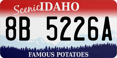 ID license plate 8B5226A