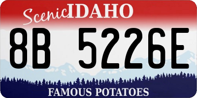 ID license plate 8B5226E
