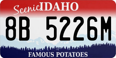 ID license plate 8B5226M