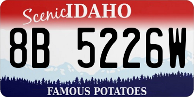 ID license plate 8B5226W