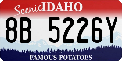 ID license plate 8B5226Y