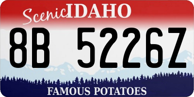 ID license plate 8B5226Z