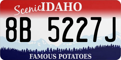 ID license plate 8B5227J