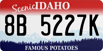 ID license plate 8B5227K
