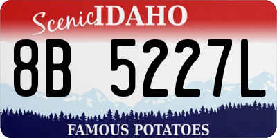 ID license plate 8B5227L
