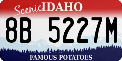 ID license plate 8B5227M