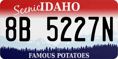 ID license plate 8B5227N