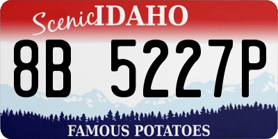 ID license plate 8B5227P