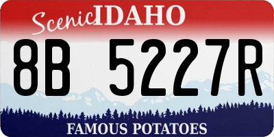 ID license plate 8B5227R