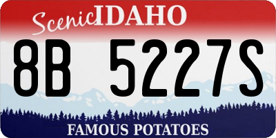 ID license plate 8B5227S