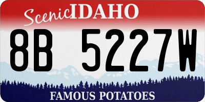 ID license plate 8B5227W