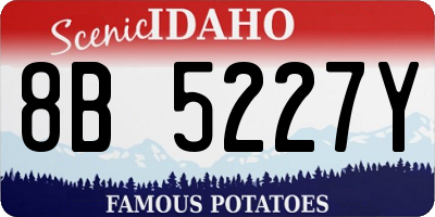 ID license plate 8B5227Y