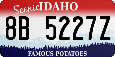 ID license plate 8B5227Z