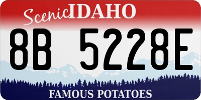 ID license plate 8B5228E