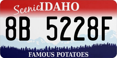 ID license plate 8B5228F