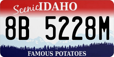 ID license plate 8B5228M