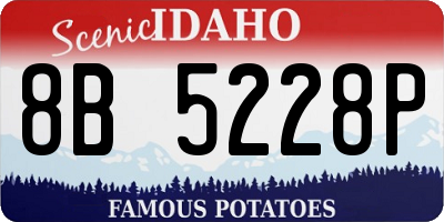 ID license plate 8B5228P